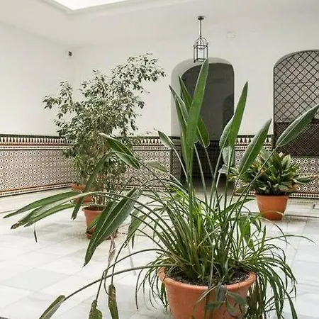 Cozy In A Typical Sevillian Patio House * Sewilla